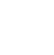 CARS COMPANY 